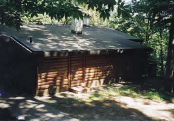 Sommerstimmung mitten im Neckarwimmersbacher Wald